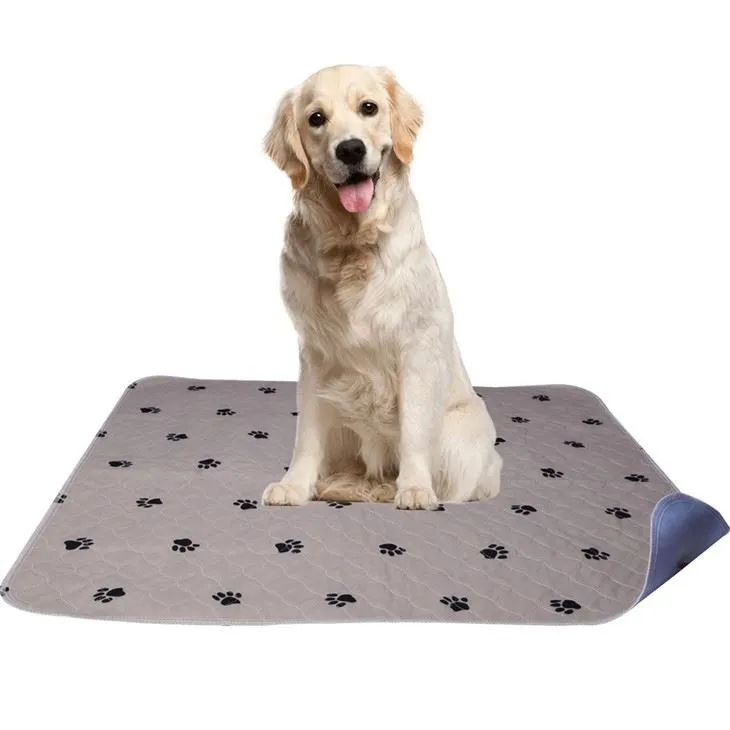 dogs-cats-indoor-potty-mat53457674163